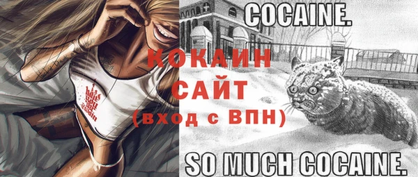 кокс Арсеньев