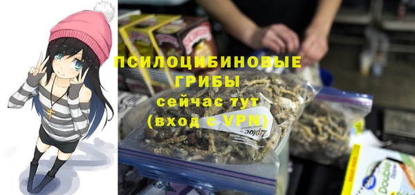 кокс Арсеньев